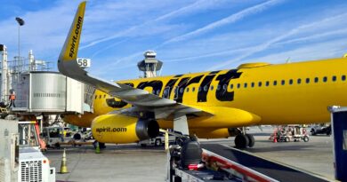 Spirit Airlines Airbus A320 LAX