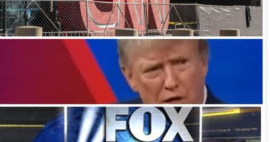 Fox CNN and Trump a 2024 election love triangle