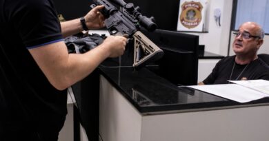 Lula's gun control push starts with counting Brazil's guns