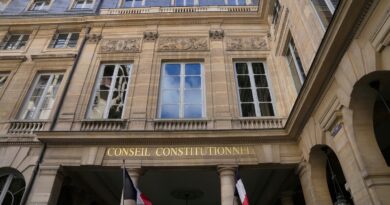 French constitutional body rejects pension referendum call