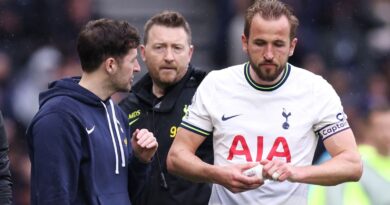 Ryan Mason and Harry Kane talk during Spurs' match vs Crystal Palace