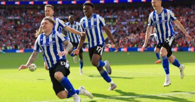 Josh Windass (left) wheels away to celebrate his dramatic winner for Sheffield Wednesday against Barnsley