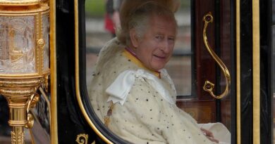 Britain's King Charles III and Camilla, the Queen Consort, on the way to the coronation ceremony in London