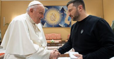 Zelensky says ‘peace plan must be Ukrainian’ after meeting Pope Francis