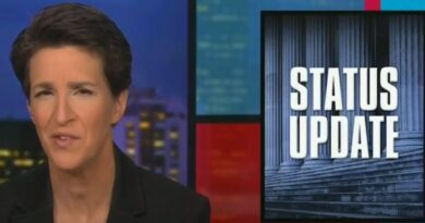 Maddow fake elector Rachel Maddow explained how her show figured out that Trump's fake elector plot was coordinated across multiple states.