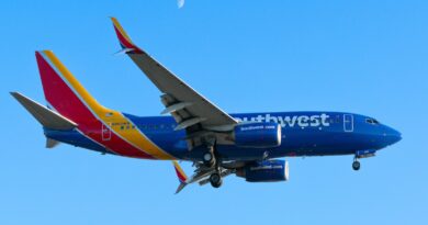 Southwest Boeing 737-700 in the sky over Los Angeles