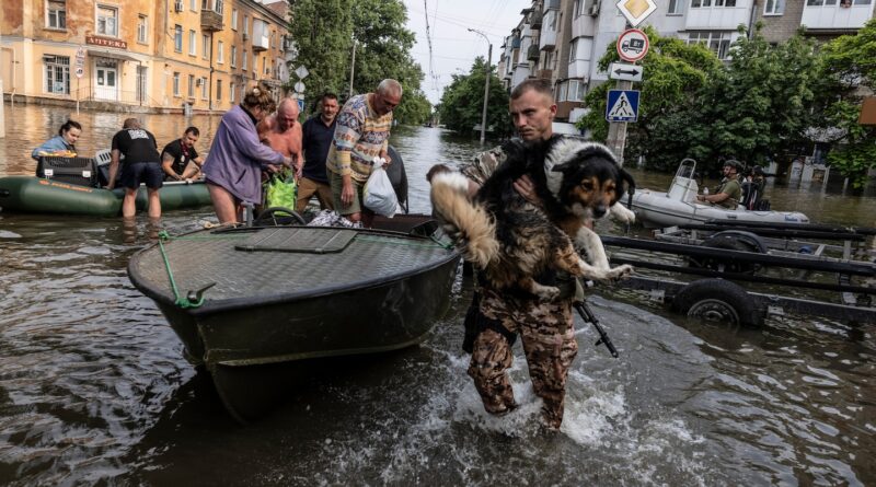 Ukraine flood victims ferried to safety; shelling intensifies after dark