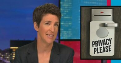 Rachel Maddow on Republicans and limited government