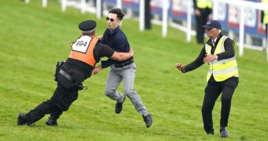 Ben Newman, 32, was sentenced to 18 weeks imprisonment suspended for two years after running onto the track at Epsom