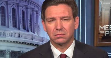 Ron DeSantis speaks on Meet The Press.