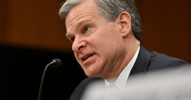 FBI director: U.S. must be vigilant on threats amid Israel-Gaza war