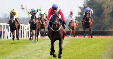 Allaho ridden by jockey Paul Townend on their way to winning the Ladbrokes Punchestown Gold Cup