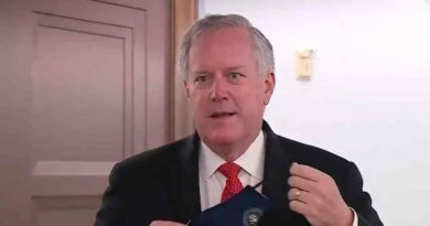 Mark Meadows refuses to wear a mask to talk to reporters