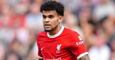 Liverpool's Luis Diaz during the Premier League match against Bournemouth