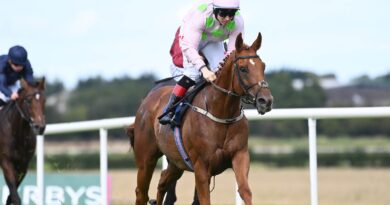 Vauban and Colin Keane cruise to victory at Naas