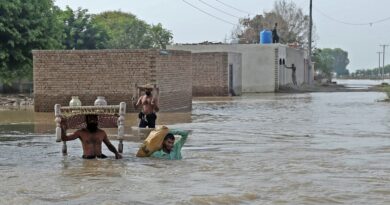 Extreme weather helped fuel surge in malaria cases last year