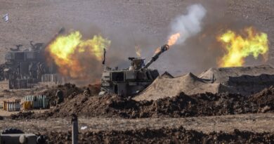 Pentagon urged to halt plans for giving Israel artillery supplies