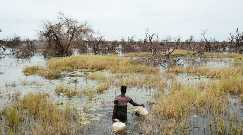 Years into a climate disaster, these people are eating the unthinkable