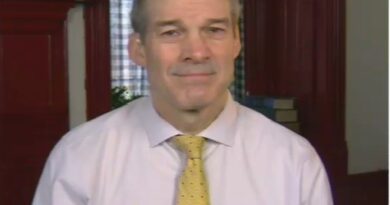 Jim Jordan is interviewed on Sunday Morning Futures on Fox News.