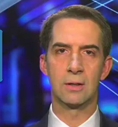 Tom Cotton on Fox News's Sunday Morning Futures.