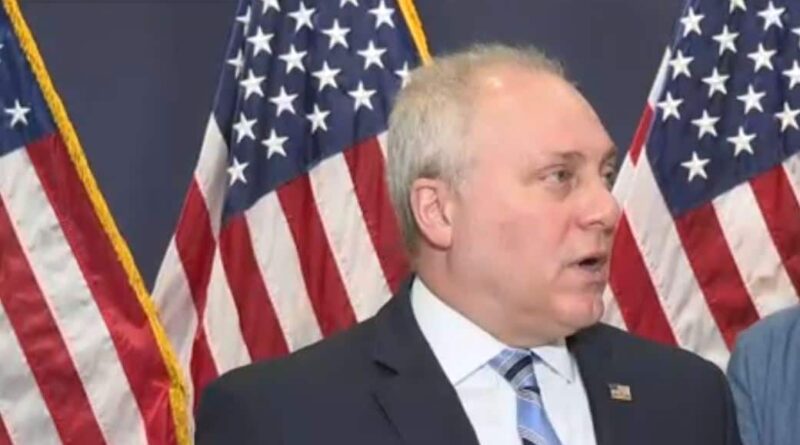 Steve Scalise calls stimulus for families socialism