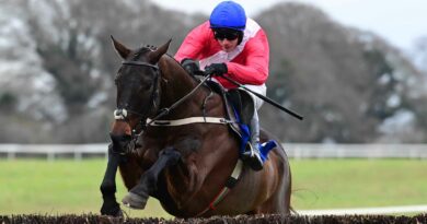 Allaho and Paul Townend move well clear of their rivals in the Horse & Jockey Hotel Chase at Thurles