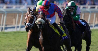 Tom Marquand rides Big Evs to win the Breeders' Cup Juvenile Turf Sprint