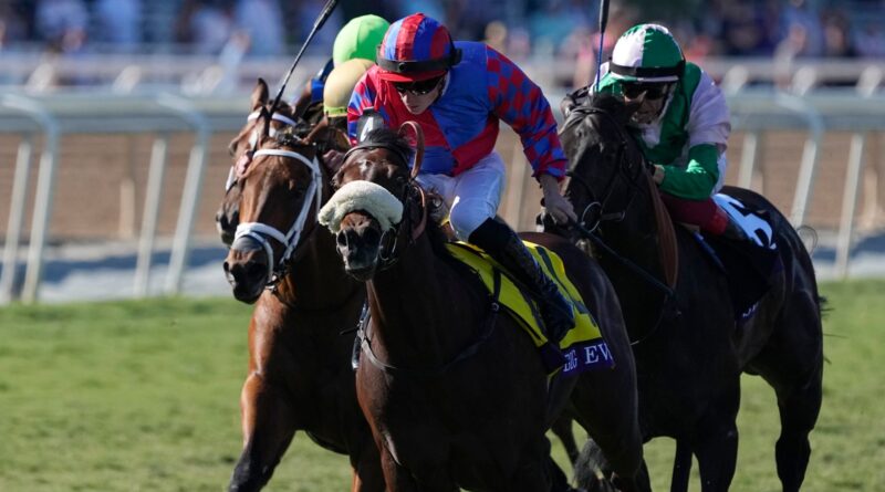 Tom Marquand rides Big Evs to win the Breeders' Cup Juvenile Turf Sprint