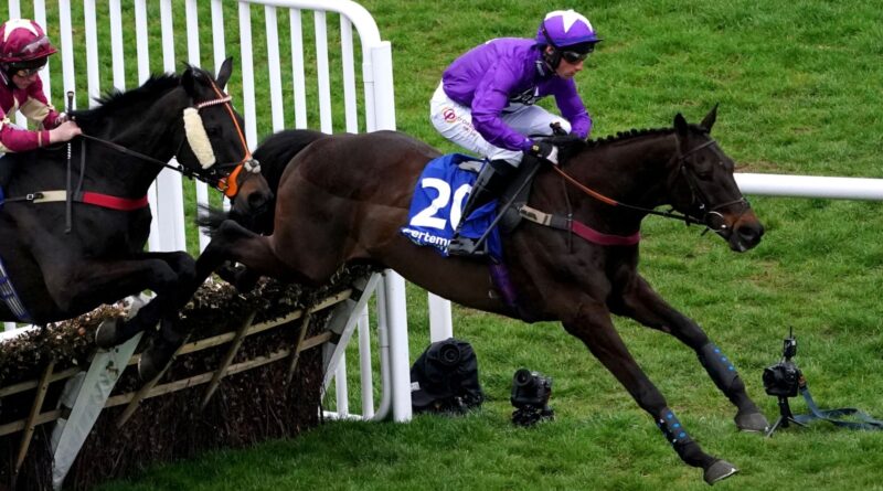 Burrows Park ridden by jockey Ned Fox (right) in action as they compete in the Pertemps Network Final Handicap Hurdle on day three of the Cheltenham Festival