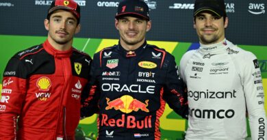 Sao Paulo GP Qualifying: Max Verstappen beats the weather to claim Brazil pole as fast McLaren lose out