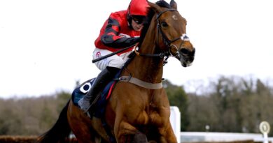 Complete Unknown ridden by jockey Lorcan Williams on their way to winning the European Breeders’ Fund Paddy Power 'National Hunt' Novices’ Handicap Hurdle Final at Sandown