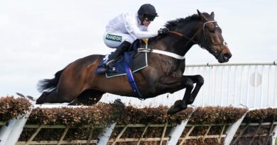 Constitution Hill and Nico De Boinville jump the last in the Aintree Hurdle