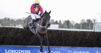 Dashel Drasher jumps to victory in the Ascot Chase last year