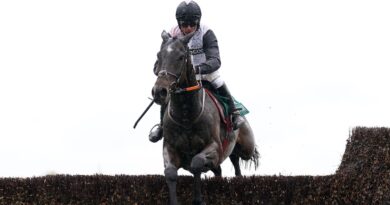 Gerri Colombe sails over the last at Aintree for Davy Russell