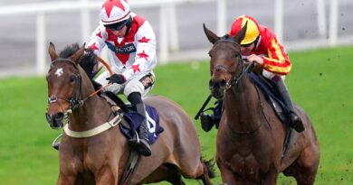 Git Maker ridden by jockey Gavin Sheehan on their way to winning the Play Coral Racing Super Series For Free Maiden Hurdle (Div 1) at Chepstow