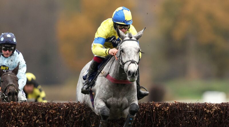 Heva Rose ridden by Charlie Deutsch wins The Win £2,000,000 with BETMGM'S Golden Goals Mares Handicap Steeple Chase at Lingfield