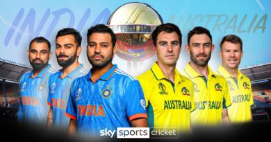 Cricket World Cup final preview image (Sky)