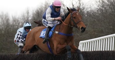 Mixedwave ridden by Alex Edwards on their way to winning the Best Ticket Deals Online @ leicesterracecourse.co.uk Novices' Handicap Chase at Leicester