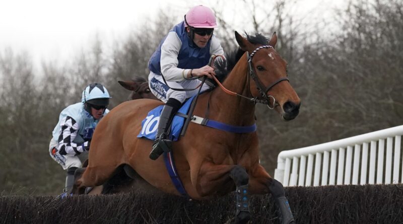 Mixedwave ridden by Alex Edwards on their way to winning the Best Ticket Deals Online @ leicesterracecourse.co.uk Novices' Handicap Chase at Leicester