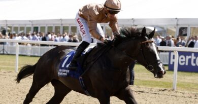 Sense of Duty ridden by Tom Marquand wins the Pertemps Network Chipchase Stakes at Newcastle