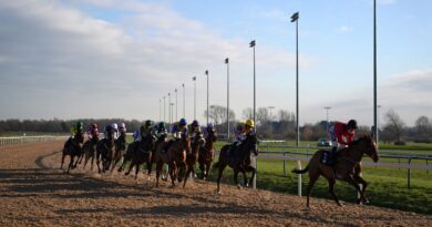 Southwell Flat all-weather racing general view