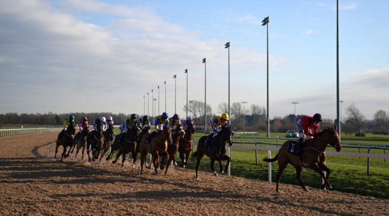 Southwell Flat all-weather racing general view