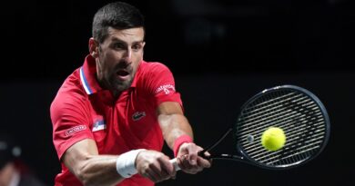 Serbia's Novak Djokovic helped his country through to the semi finals of the Davis Cup