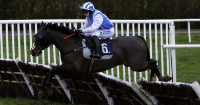 The Imposter on his way to winning the At The Races App Market Movers Novices' Handicap Hurdle at Lingfield Park