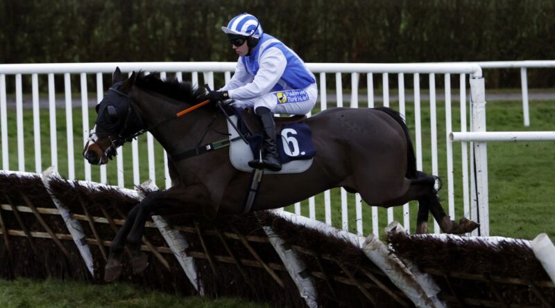 The Imposter on his way to winning the At The Races App Market Movers Novices' Handicap Hurdle at Lingfield Park