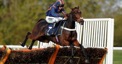 Theatre Glory ridden by Nico de Boinville on their way to winning the racingtv.com/freemonth Mares' Novices' Hurdle at Huntingdon