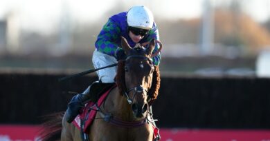 Thyme Hill goes clear to win the Kauto Star Novices' Chase