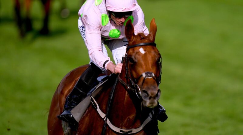 Vauban won the Copper Horse Handicap at Royal Ascot during the summer