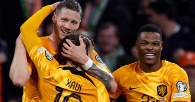 Wout Weghorst celebrates after scoring for Netherlands