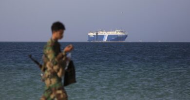 U.S. seeking partners to safeguard ships after Red Sea attacks